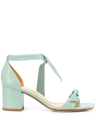 Alexandre Birman Ankle Strap Sandals In Green