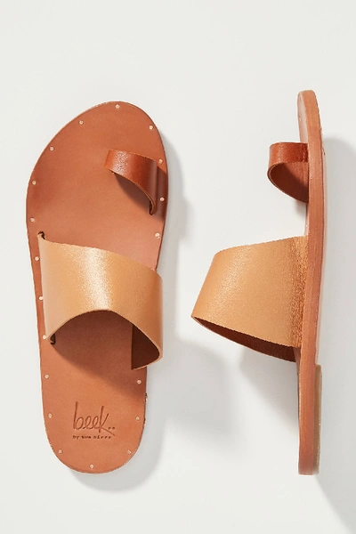 Beek Finch Sandal In Gold