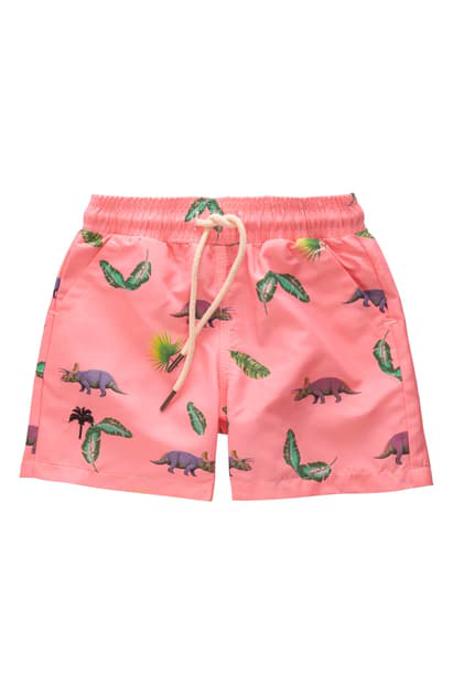 dino swim trunks