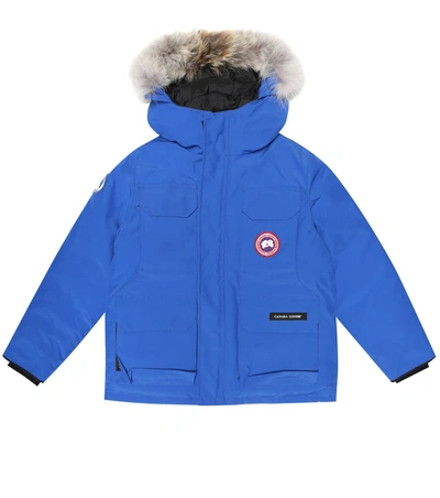 Canada Goose Pbi Expedition Waterproof Down Parka With Genuine Coyote Fur Trim In Royal Blue