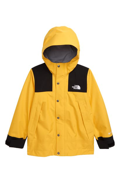 north face gore tex winter jacket