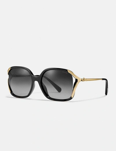 Coach Oversized Horse And Carriage Sunglasses In Black