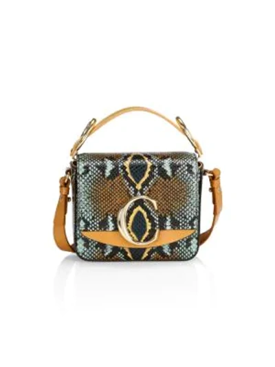 Chloé C Python-embossed Leather Crossbody Bag In Neutral