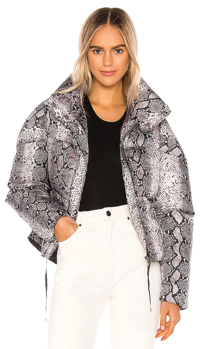 Apparis Jamie Snake-effect Shell Puffer Coat In Grey Python Print