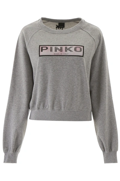 Pinko Logo Sweatshirt In Grey