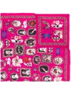 Alexander Mcqueen Curiosities Shawl In Pink