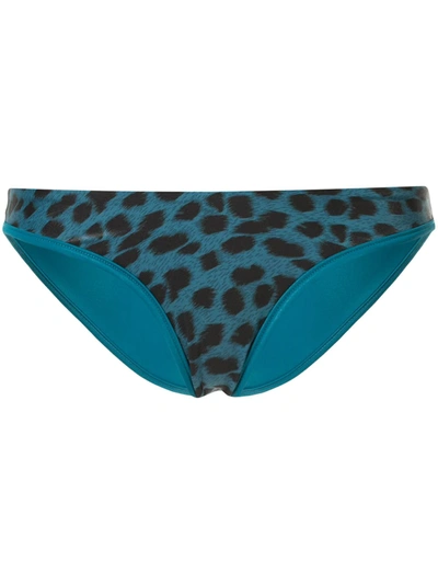 Duskii Reversible Leopard-print Bikini Bottoms In Green