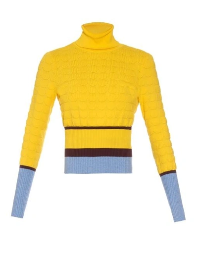 Mary Katrantzou Flosi Contrast-cuffs Roll-neck Sweater In Yellow