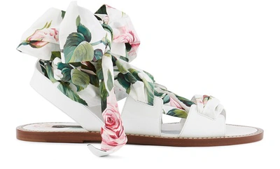Dolce & Gabbana Printed Sandals In Ivory Print Pink Rose