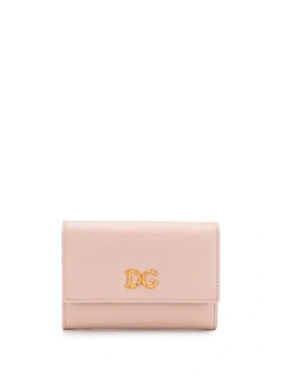 Dolce & Gabbana Baroque D&g Wallet In Cipria 1 (pink)