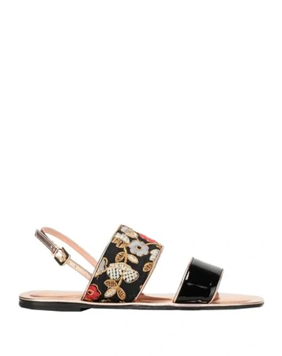 Pollini Sandals In Black