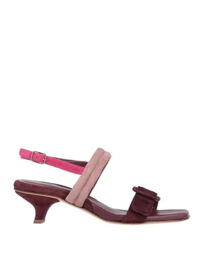 Pomme D'or Sandals In Deep Purple