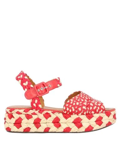 Clergerie Sandals In Red