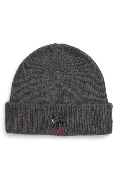 Polo Ralph Lauren French Bulldog Knit Hat In Charcoal