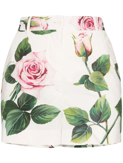 Dolce & Gabbana Printed High Waist Cotton Poplin Shorts In White