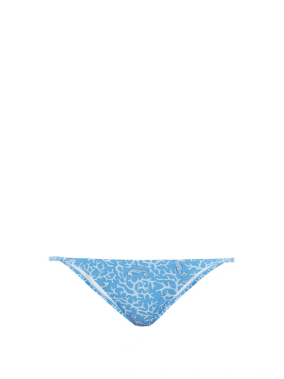 Fisch + Net Sustain Flamands Printed Bikini Briefs In Blue