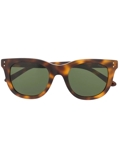 Polo Ralph Lauren Tortoiseshell Framed Glasses In Brown