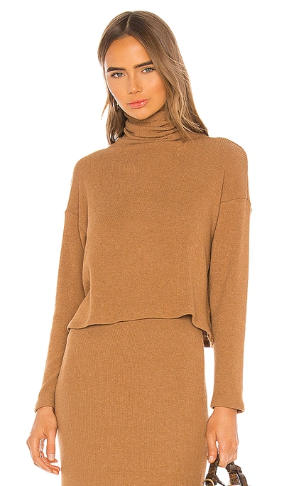 Enza Costa Knit Long Sleeve Crop Turtleneck Sweater - L In Amber