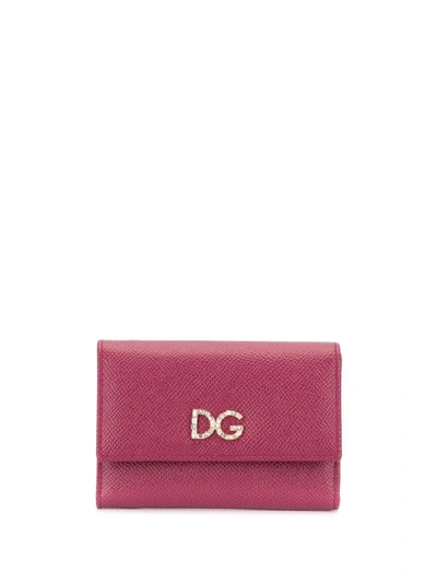 Dolce & Gabbana Logo Flap Wallet In Pink