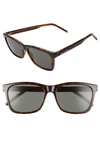 Saint Laurent 56mm Square Sunglasses In Havana