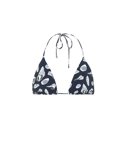 The Upside Jodhi Shell-print Triangular Bikini Top In Blue