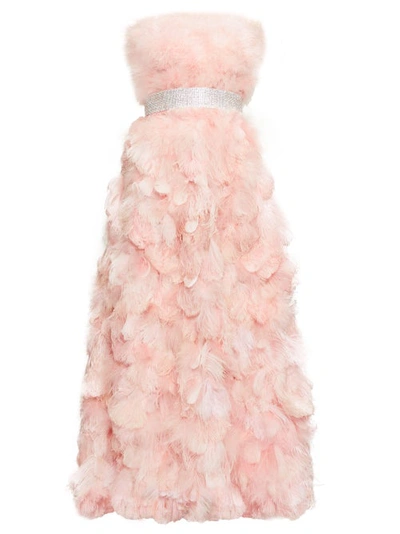 Dolce & Gabbana Crystal And Feather-embellished Silk-organza Gown In Pink