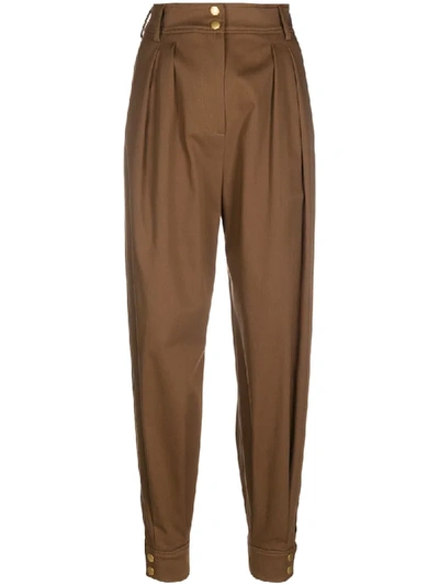 Alberta Ferretti Pleated Cotton-blend Twill Tapered Pants In Brown