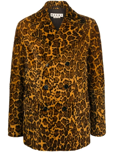 Marni Leopard Print Coat In Neutrals