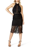 Bardot Gemma Halter Lace Sheath Dress In Black