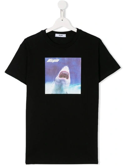 Msgm Kids' Logo Shark T-shirt In Black