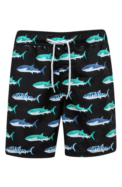 Snapper Rock Kids' Shark Swim Trunks In Black Multi