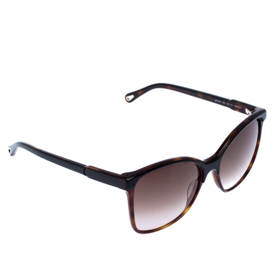 Pre-owned Chloé Dark Brown Tortoise Amber Square Sunglasses