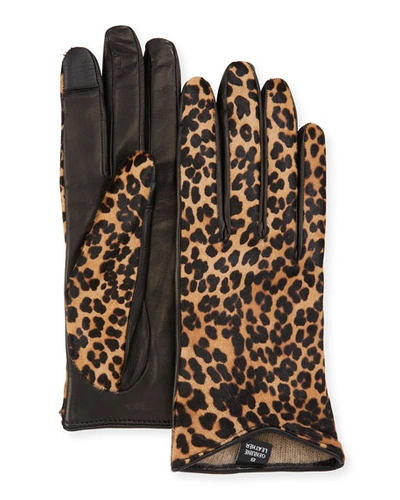 Guanti Giglio Fiorentino Leather Gloves W/ Leopard Print Calf Hair Outer In Black/leopard