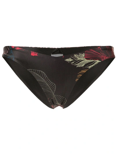 Duskii Fleur Deep V Bikini Bottoms In Multicolour