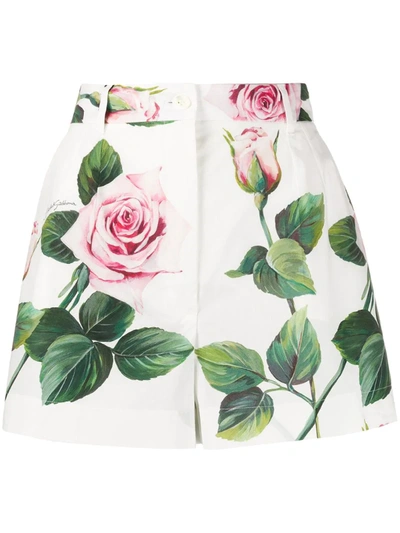Dolce & Gabbana Tropical Rose Print Poplin Shorts In White