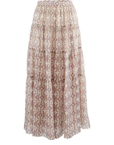 Celine Long Skirt With Silk Frills With Spangled Stripes In Multicolore