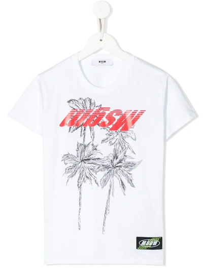 Msgm Teen Palm Print T-shirt In White