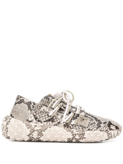 Giuseppe Zanotti Snakeskin Effect Sneakers In Brown