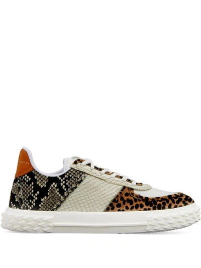 Giuseppe Zanotti Blabber Mixed-media Calf Hair & Embossed Leather Trainers In Multicolor