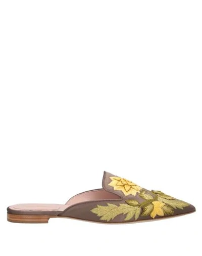 Alberta Ferretti Mules & Clogs In Lead