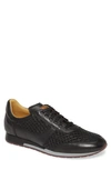 Mezlan Maxim Sneaker In Black