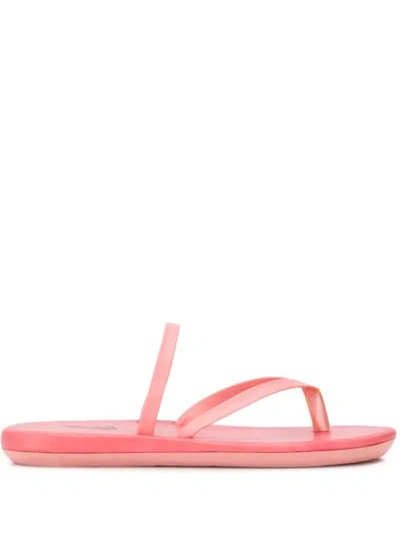 Ancient Greek Sandals Strappy Flip Flops In Pink