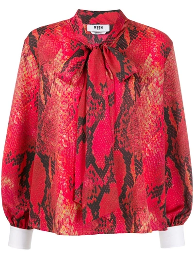Msgm Snake-print Blouse In Red