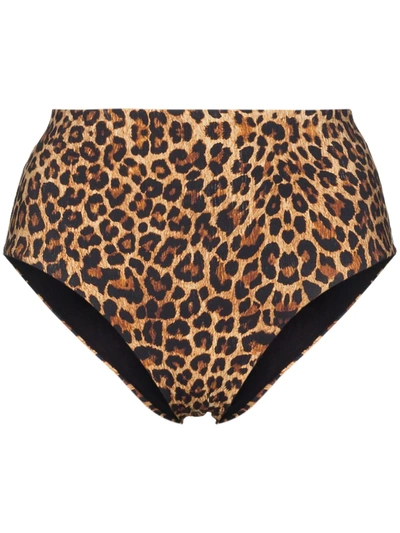 Anemone Leopard Print High Waist Bikini Briefs In Brown