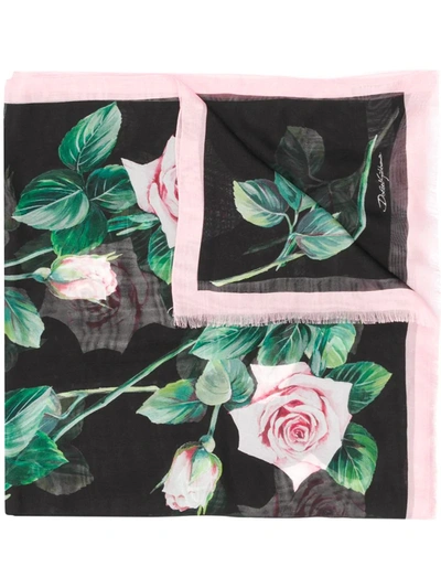 Dolce & Gabbana Tropical Rose Print Scarf In Black