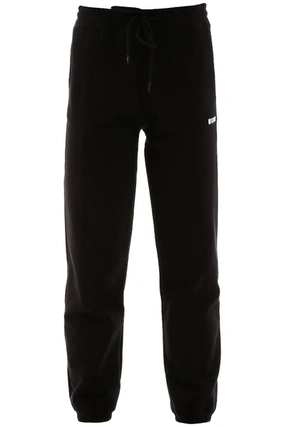 Msgm Micro Logo Jogger Pants In Black