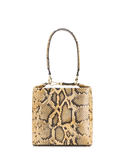 Rejina Pyo Lucie Light Brown Snake Print Top Handle Bag In Animal