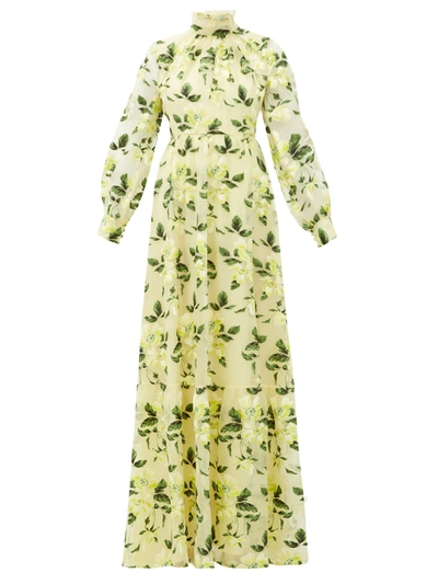 Erdem Clementine Floral-embroidered Silk-organza Gown In Multi