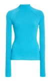 Anna Quan Blake Ribbed Cotton Turtleneck Sweater In Blue