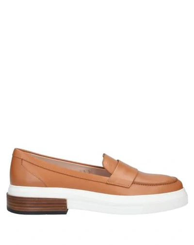 Tod's Loafers In Brown